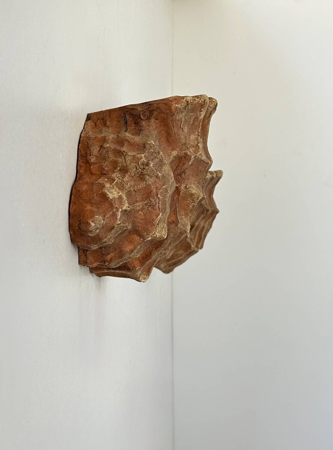 Pair of vintage terracotta shell wall lights