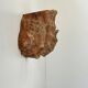 Pair of vintage terracotta shell wall lights