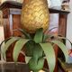 Pair of pineapple lamps