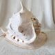 Rare and Large "Cassis Cornuta", Horned Helmet 32 cm, TBE