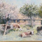 Normandy cows signed Merlet