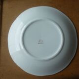 Flat plate gien model elegance