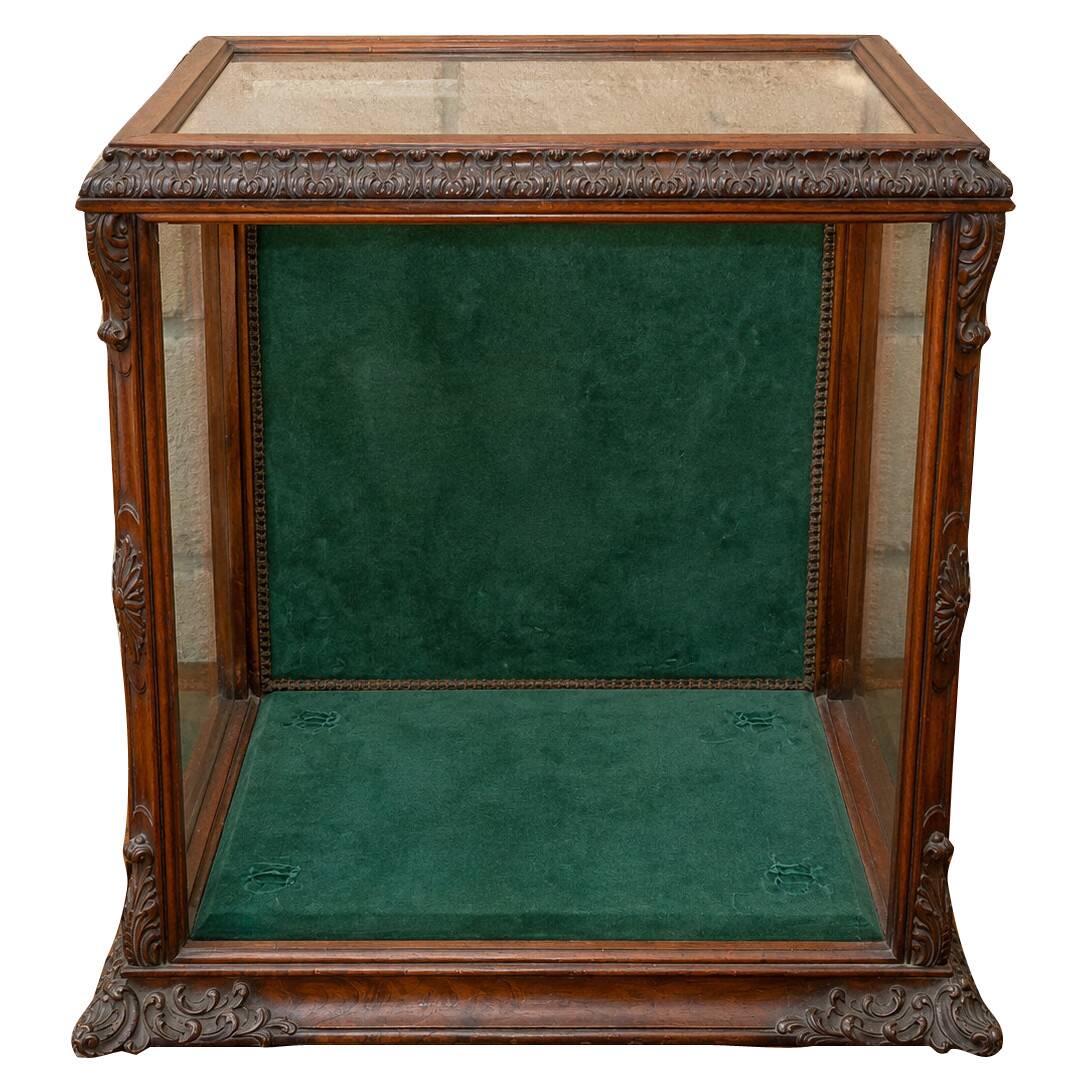 Rare counter display case / exhibition case in walnut display case.