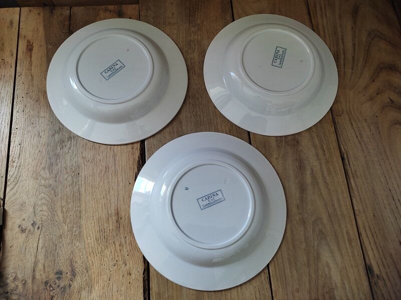 Hollow plates Porcelain Sarreguemines Carina