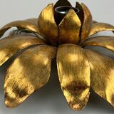 Wall sconce in brass