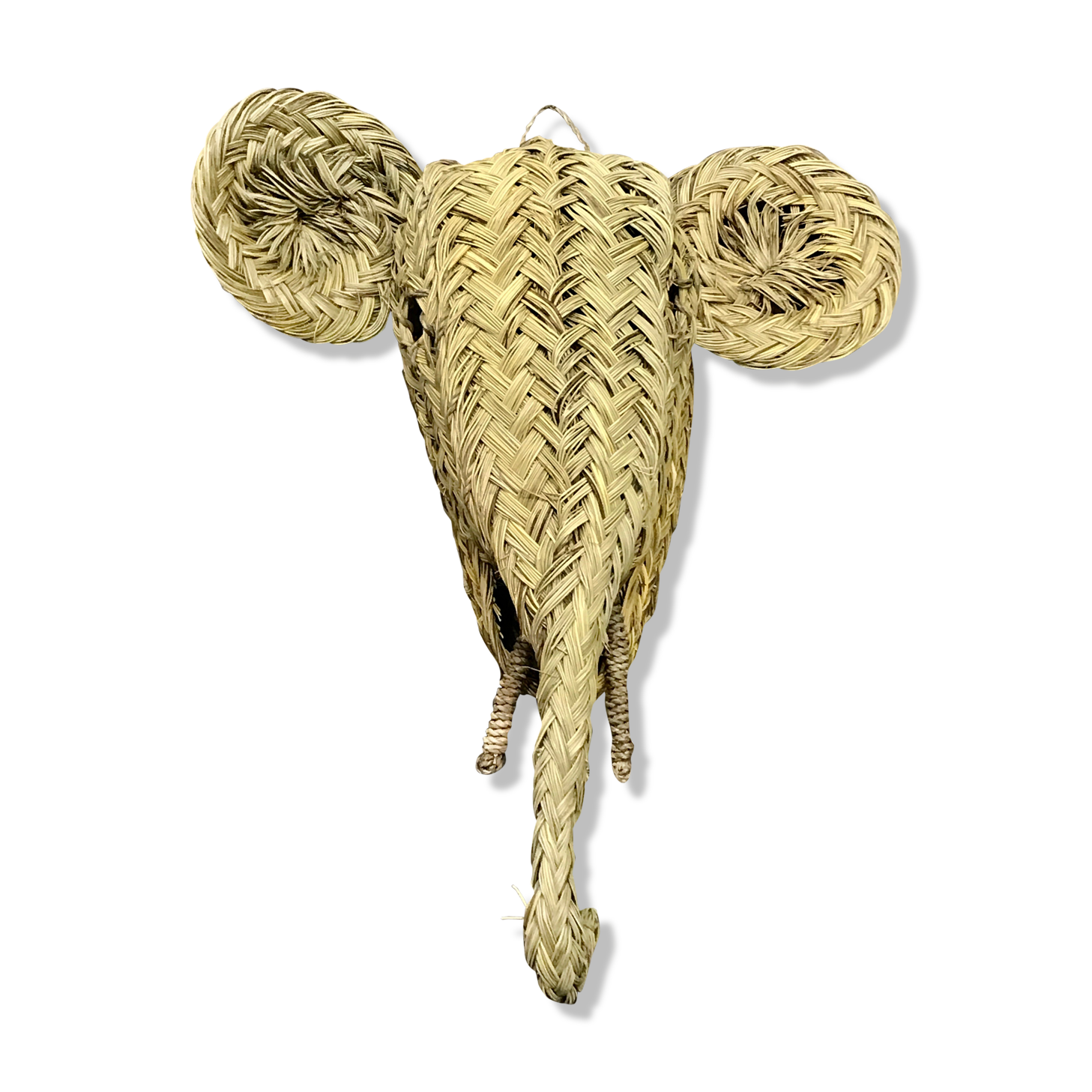 Trophy head elephant alfa braided