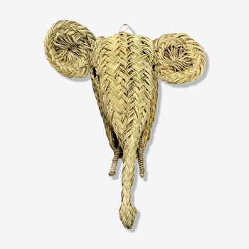 Trophy head elephant alfa braided