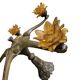 5 arms Art Deco / Art Nouveau / brass hanging lamp / Hand blown floral shades