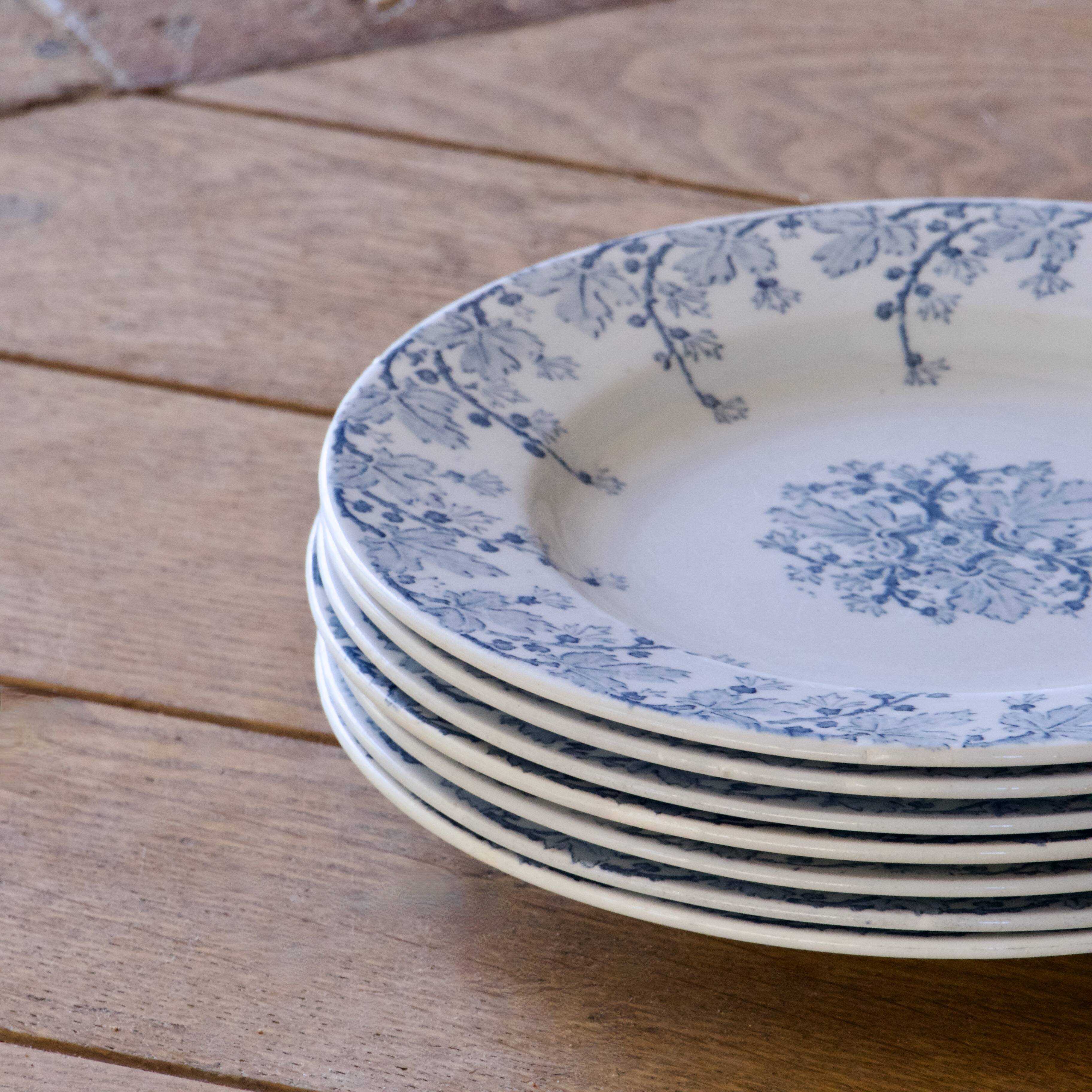 7 19th century ironstone plates signed KG Lunéville, "Neva" collection