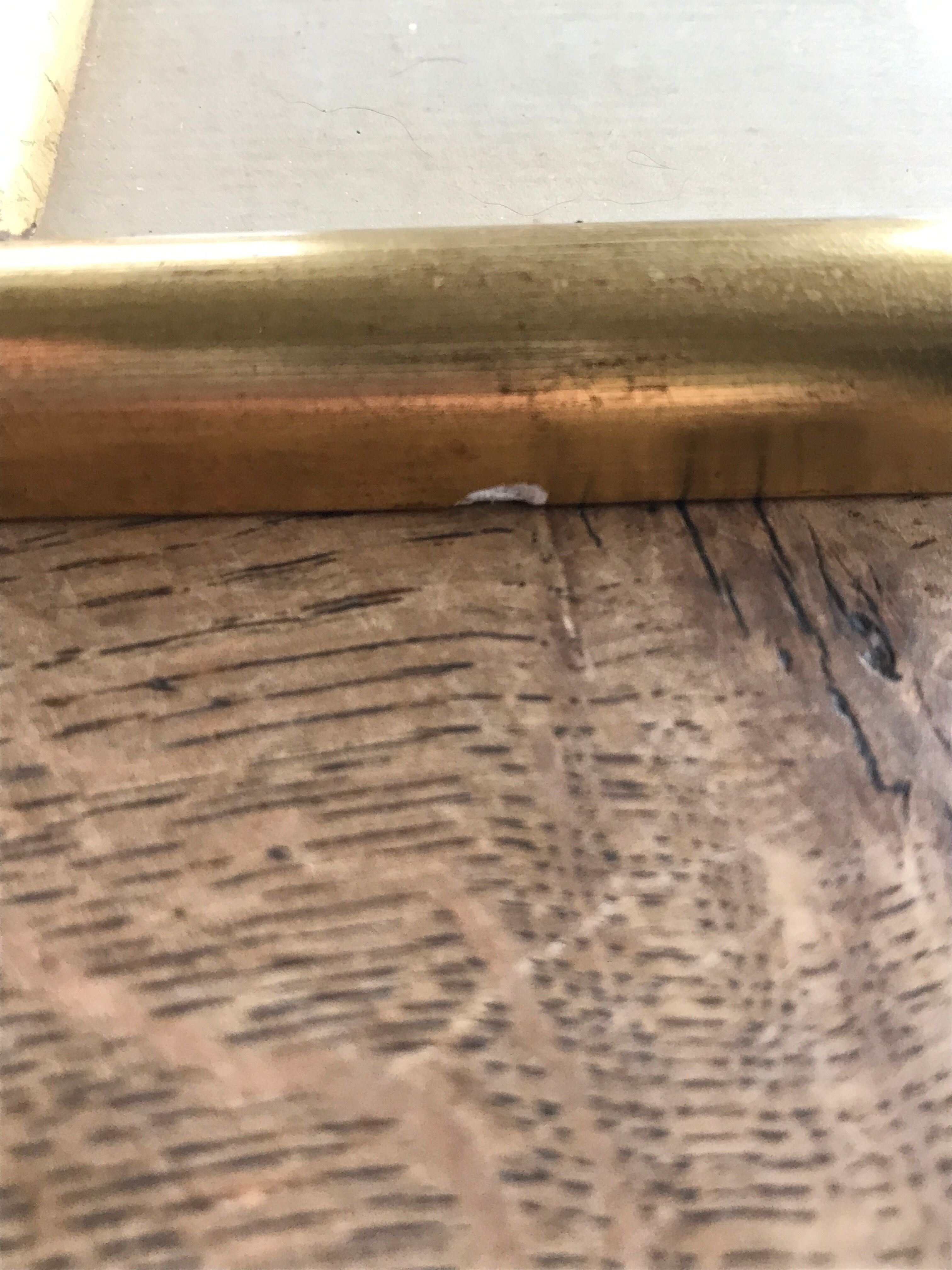 Dreaded Frame and Lithography