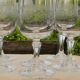 6 crystal water glasses from ARQUES. MATIGNON model.