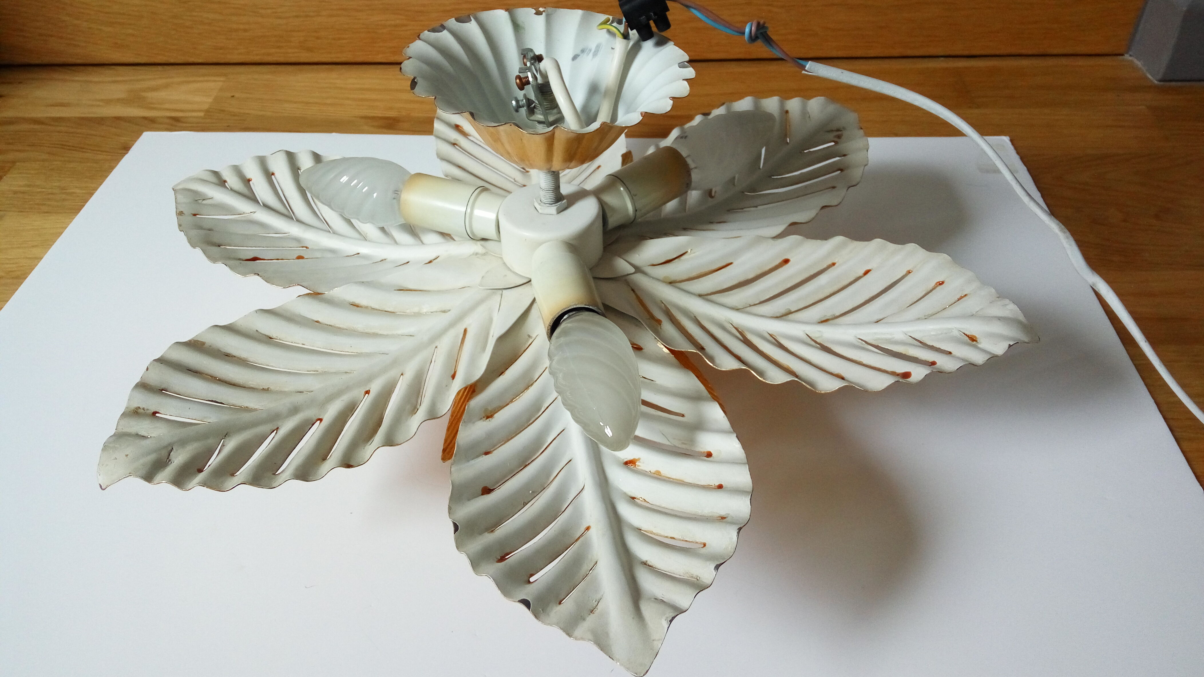 Palm tree vintage wall