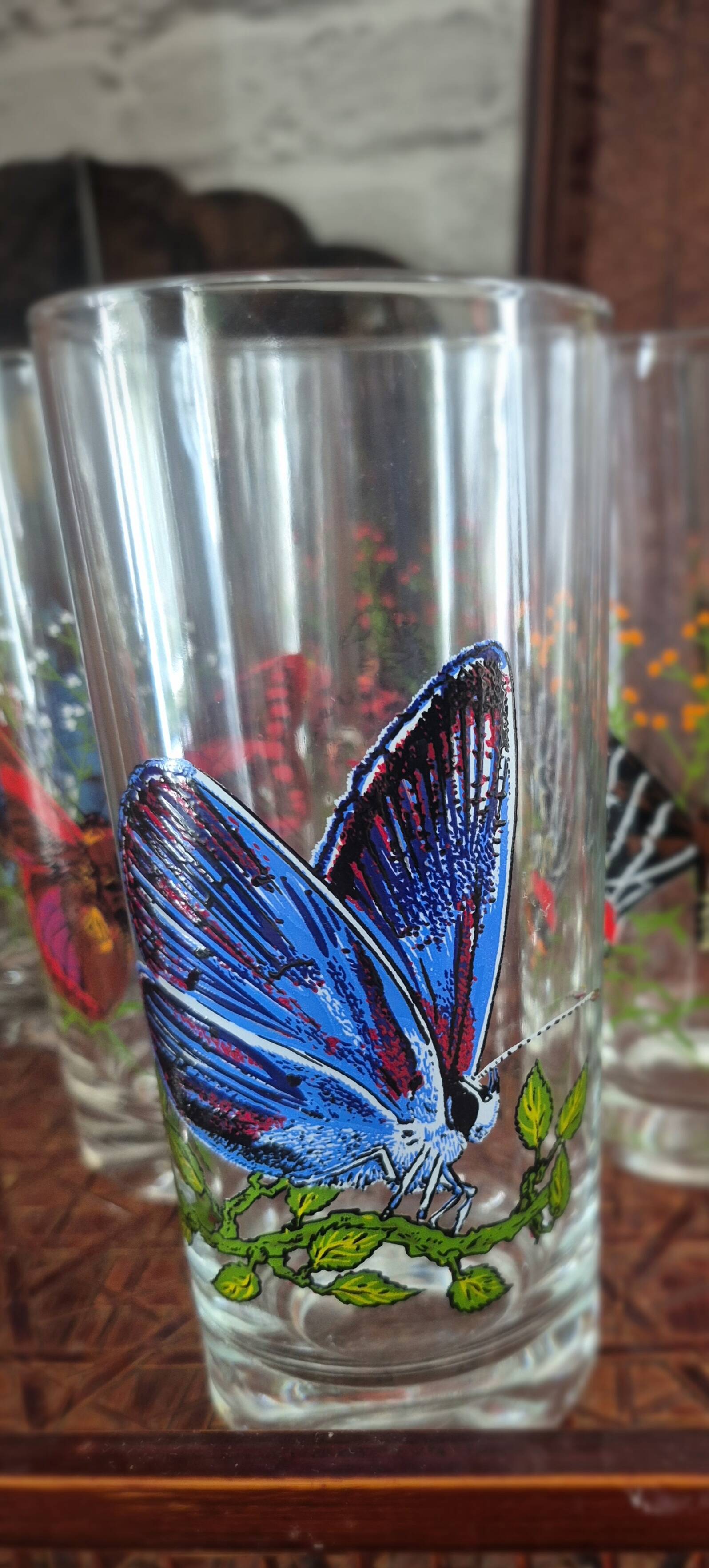 Set of 10 butterfly glasses from the Reims glassworks, vintage.