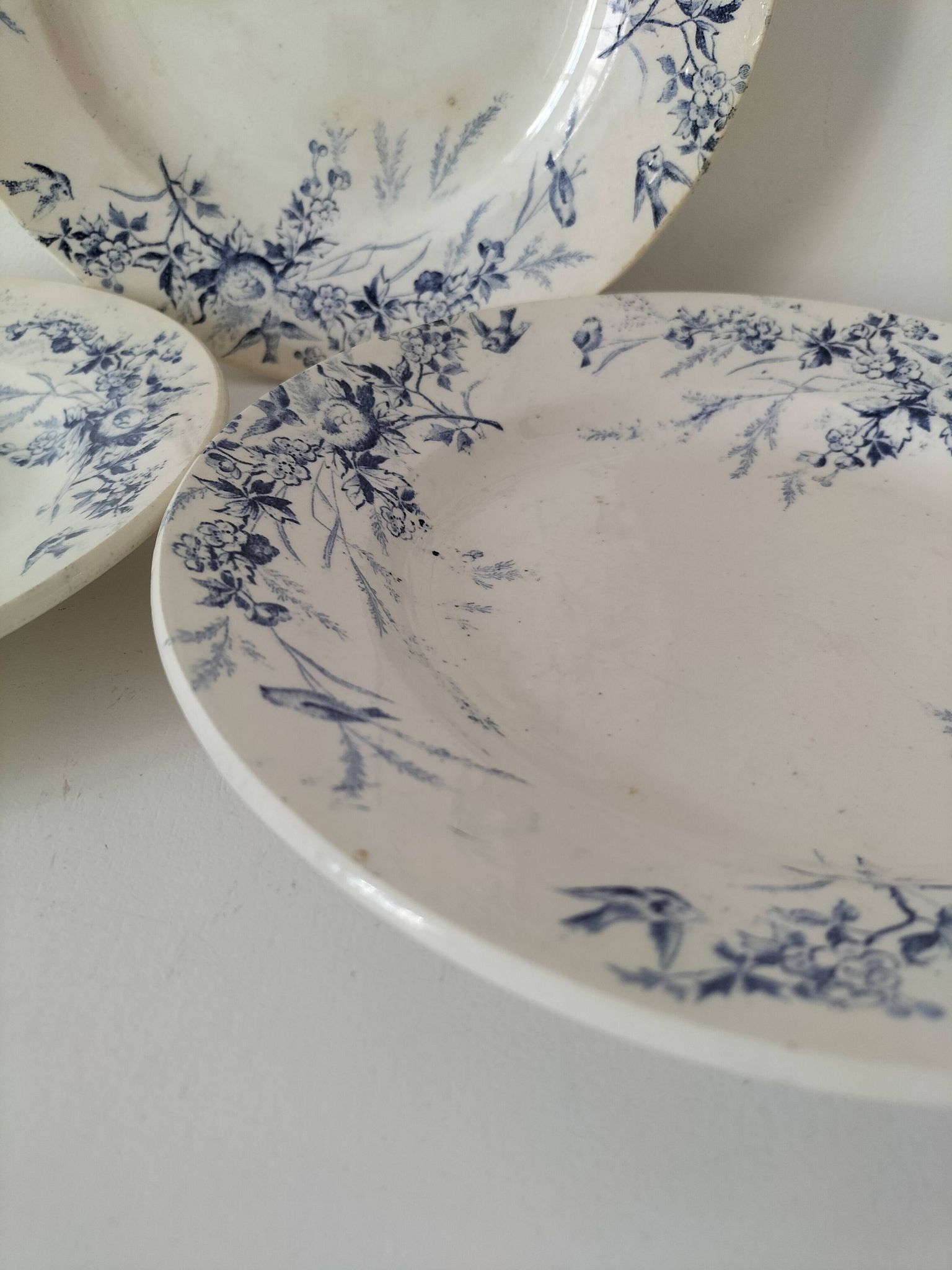 Assiettes Creil Montereau Modèle Linotte