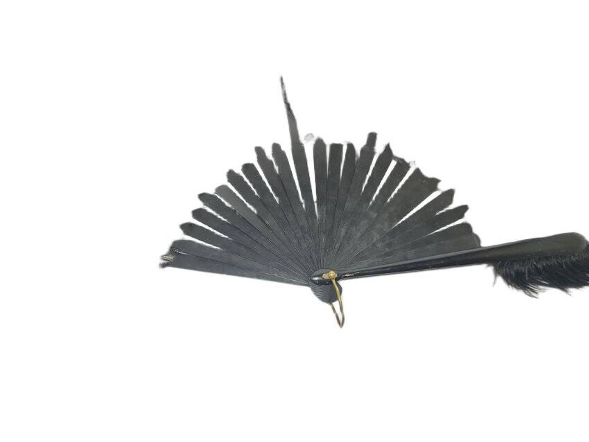 Art Deco Polish Austria feather fan, 1920s
