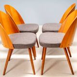 Chaises de salle à manger Antonín Šuman, Tatra Nábytok, Tchécoslovaquie années 1960.