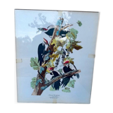 Tableau sous verre avec illustration oiseaux