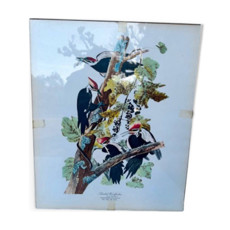 Glass painting with bird illustration