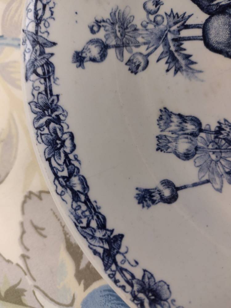 Set of 11 goldfinnets clairefontaine dessert plates