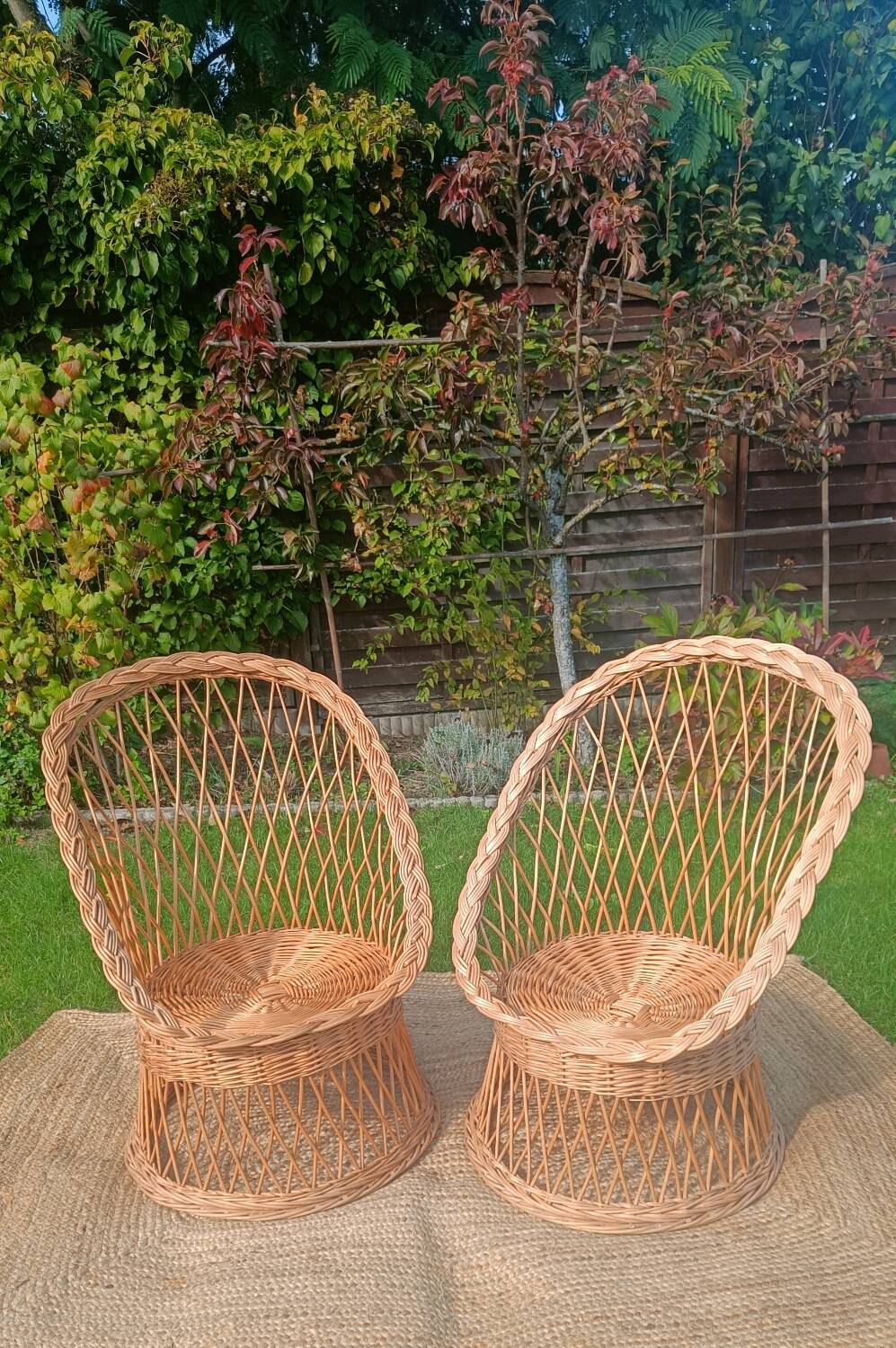 Rattan and wicker basket chairs