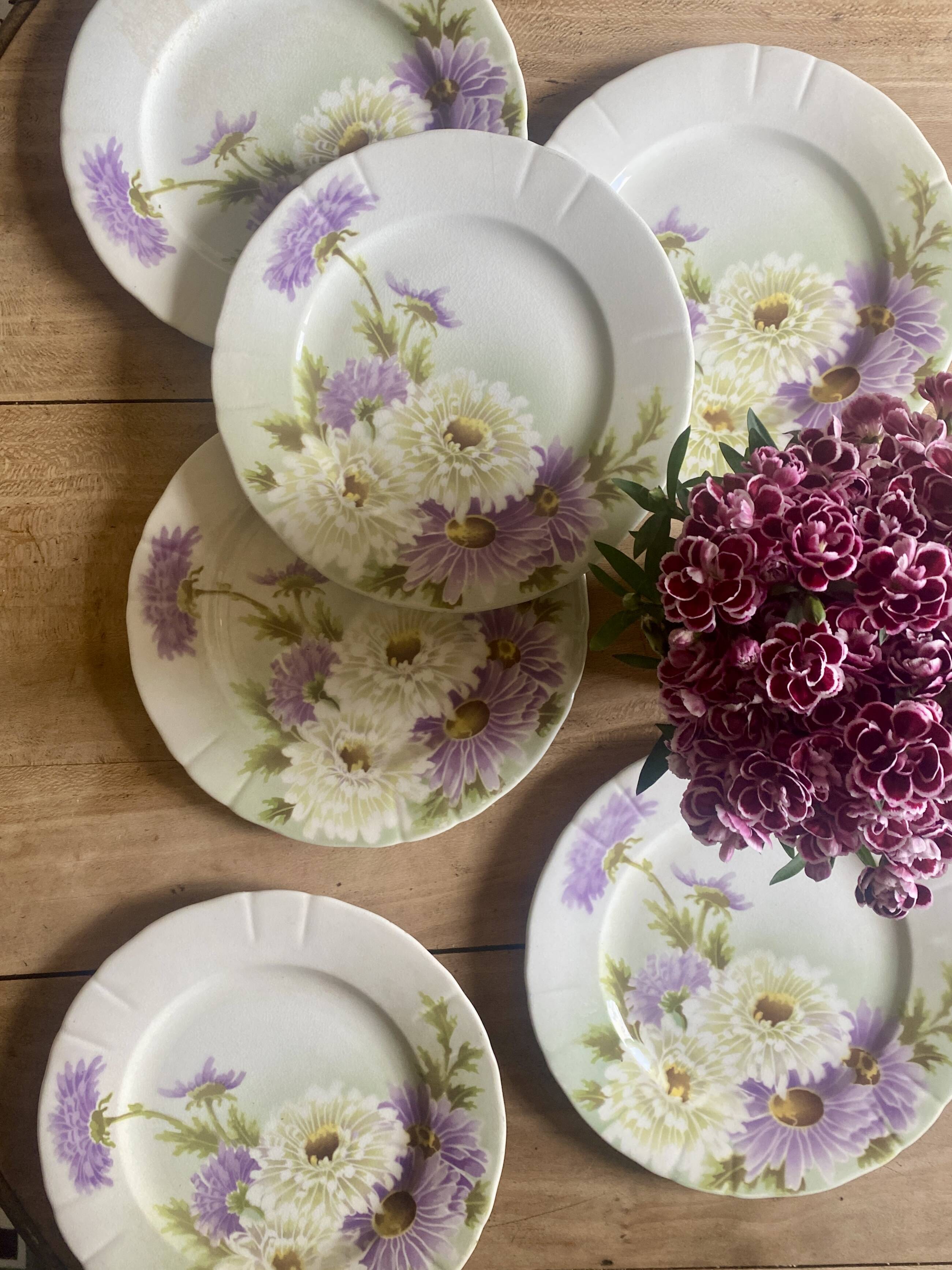 Set of 6 old flat plates - Reine Marguerite de KG Lunéville -