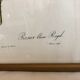 Dreaded Frame Rosa "Rosa alba Regalis"