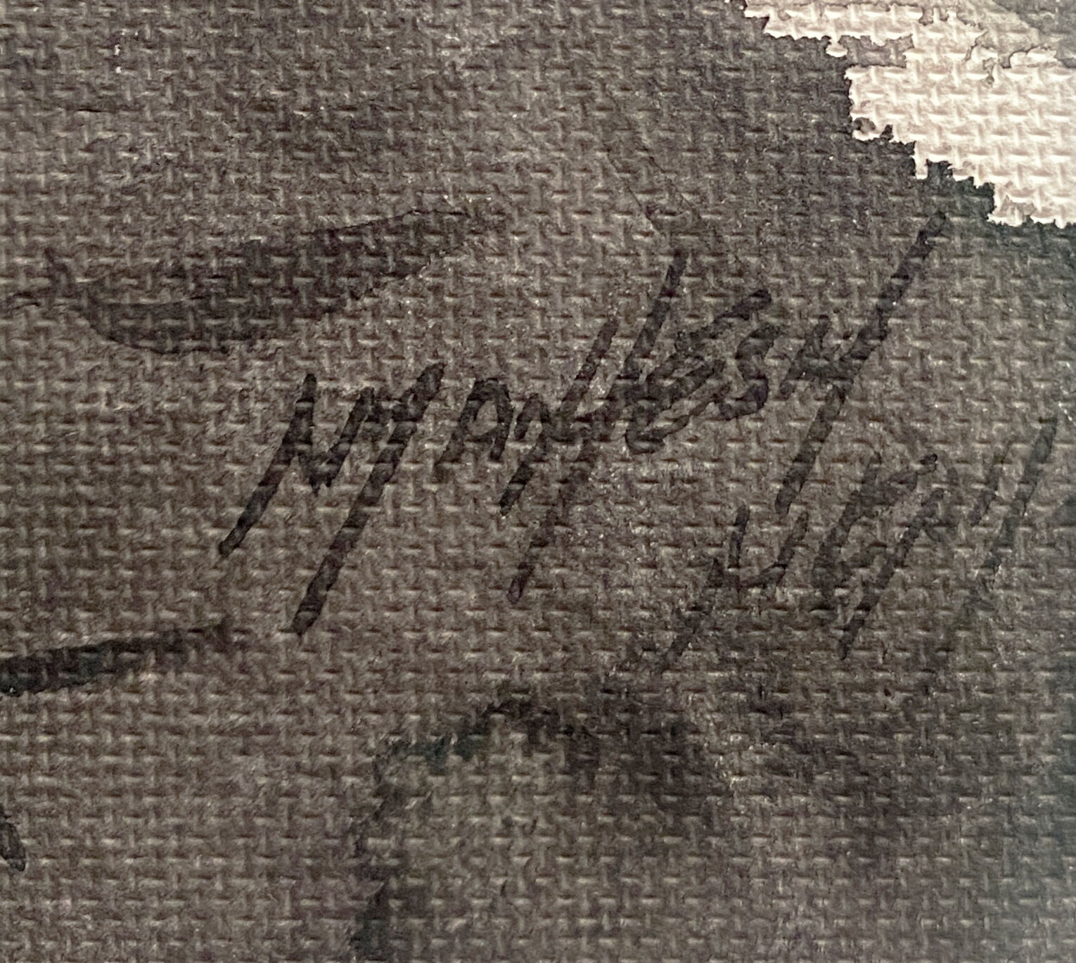 Indochinese school ink (XX °) signed "Bergère à la chévre" + frame