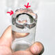 Daum series of 6 glasses with blanzey shooter alcohol