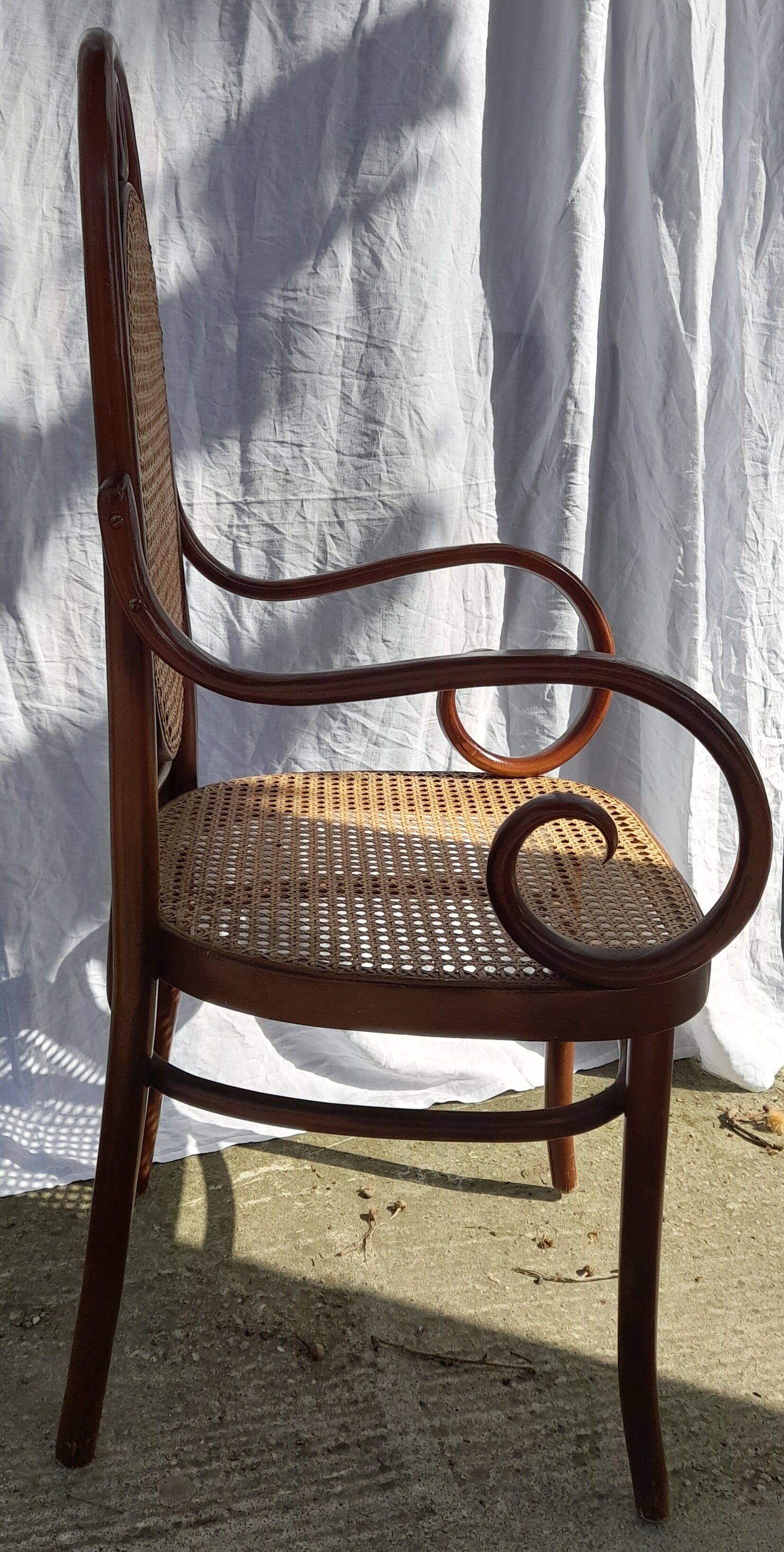 Pair of Thonet style armchairs canned and wood turned