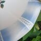 Small antique dish Sarreguemines