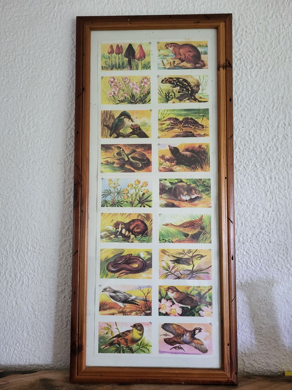 Vintage illustration