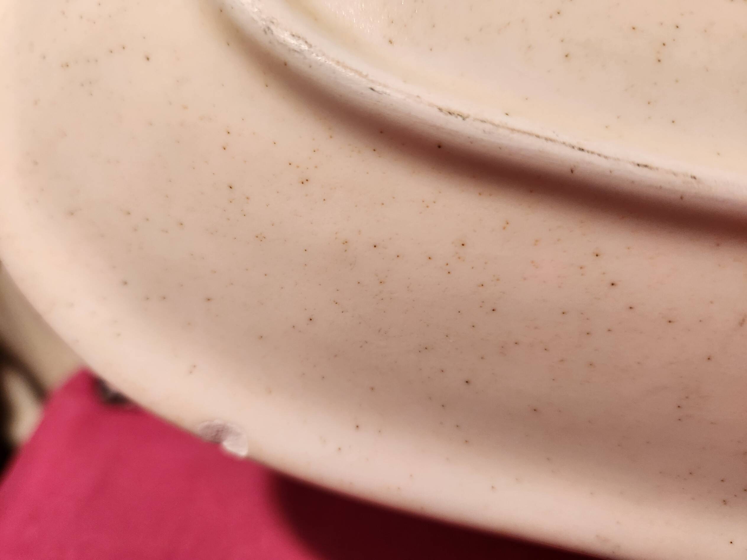 Large fish platter Granville Sarreguemines