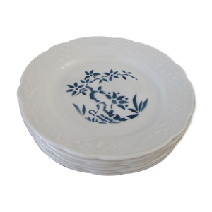 Ensemble de 6 assiettes