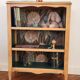 Renovated green cedar wood bookshelf