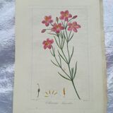 Lot of 4 botanical boards