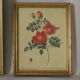 lithographies de botanique roses vintage