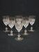 6 Antique Baccarat Crystal Engraved Wine/Port Glasses