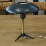 Vintage lamp model "Minou S" by Louis Kalff for Philips 1955's