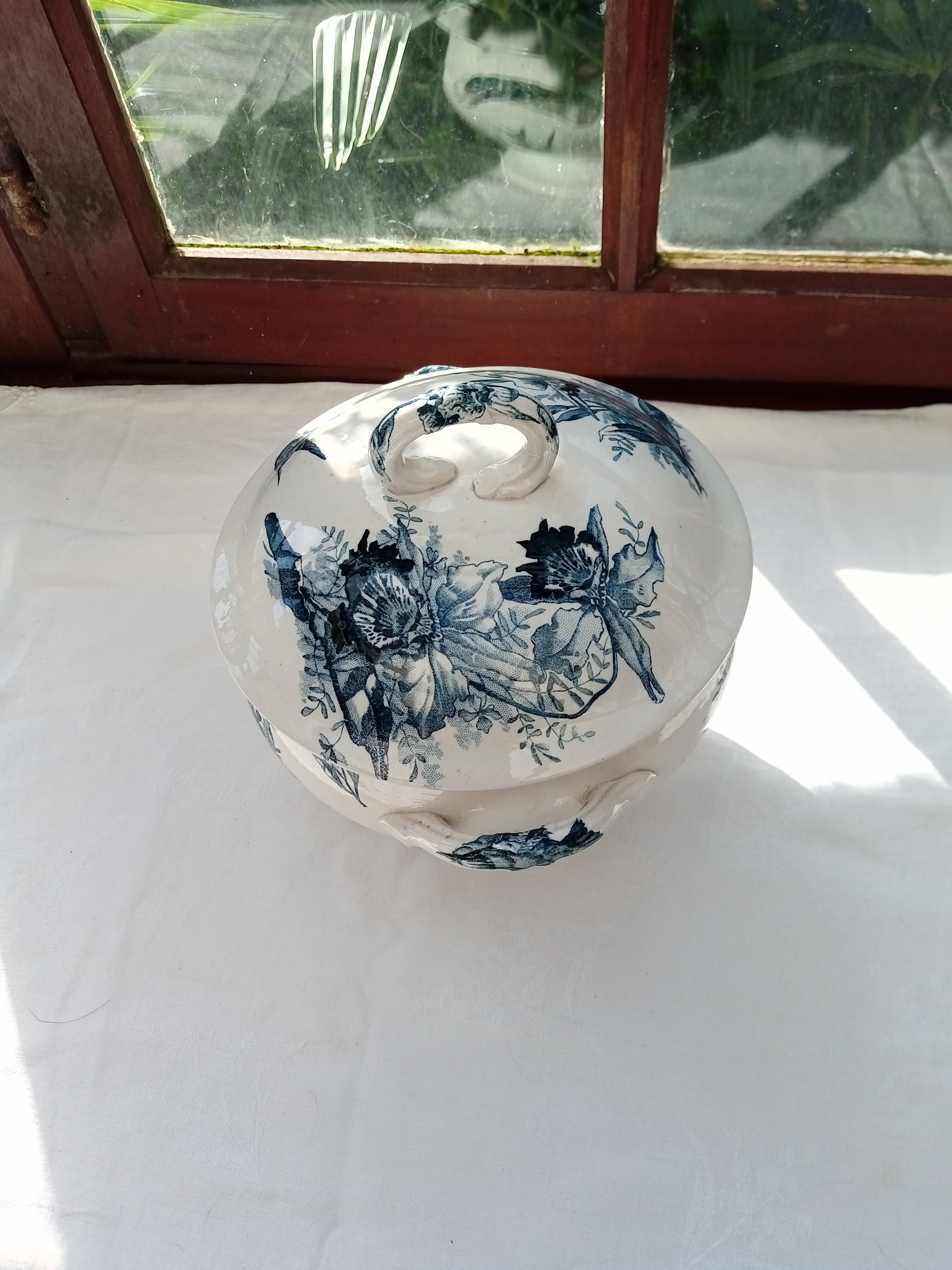 Tureen Iron Earth Orchids