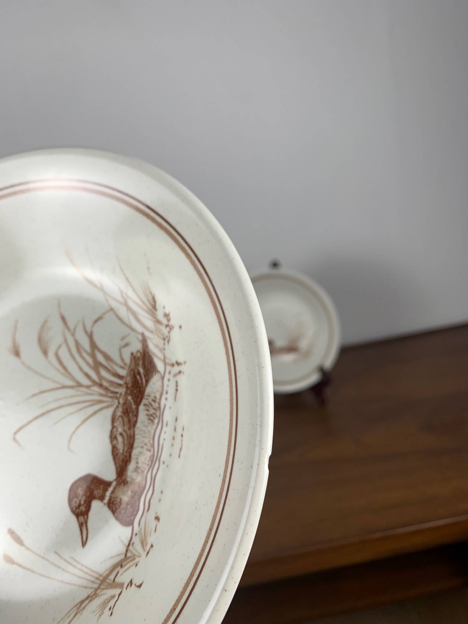 Set of 6 Vintage Churchill England Soup Plates – Duck Pattern