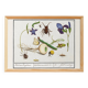 Small poster on “Insects and plants”, based on an old engraving