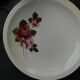 6 assiettes plates en faïence de SARREGUEMINES. Modèle Richemond.