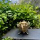 Planter signed Claude Bonnefond (1868-1936) Art Nouveau