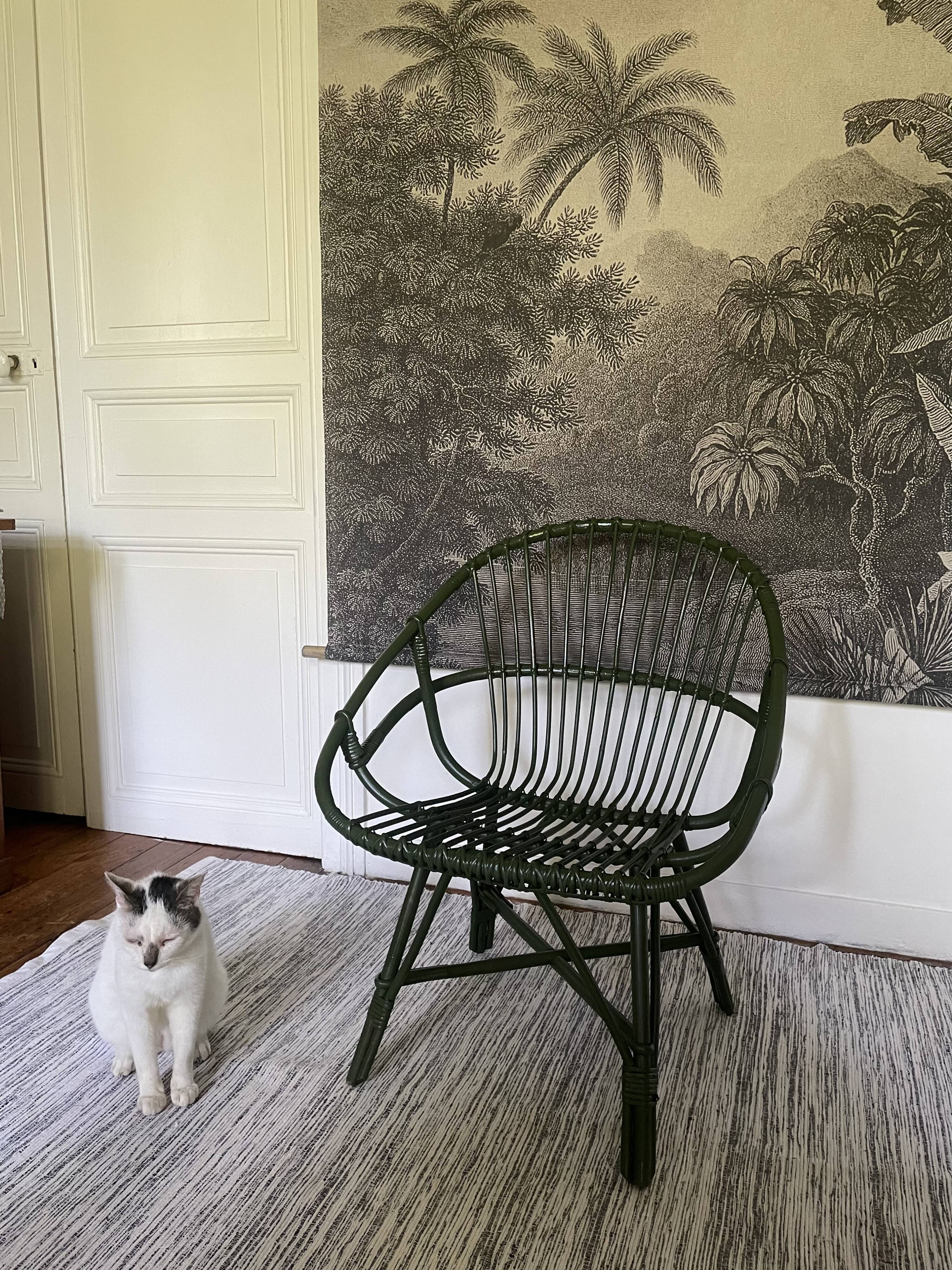 Green rattan armchair