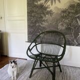 Green rattan armchair