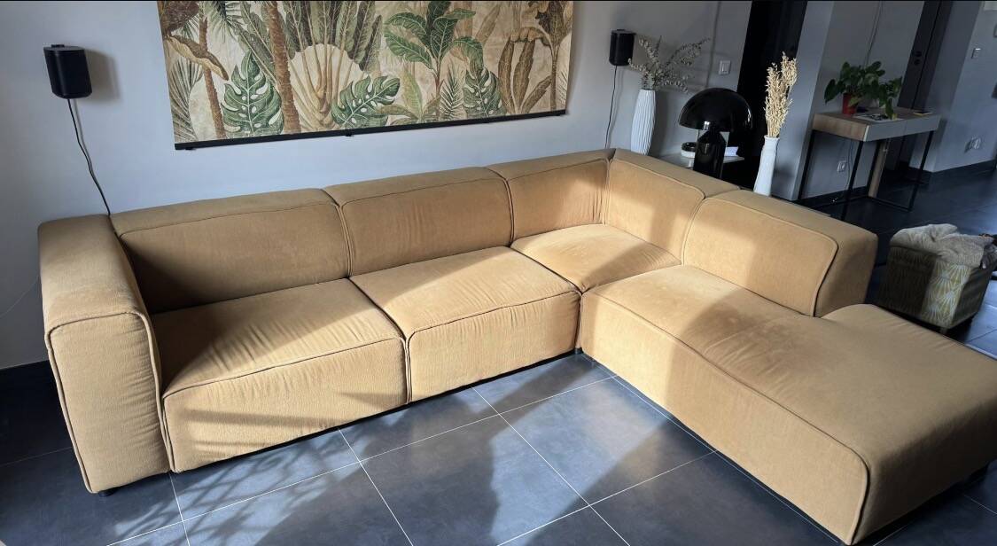 Bo Concept sofa