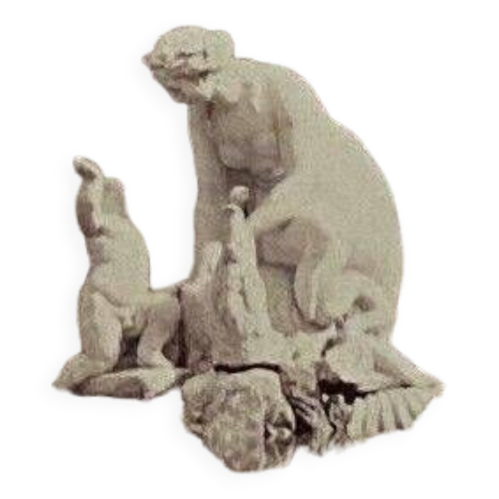 Photo Parc de Schoenbrunn 19th century albumen laminated cardboard