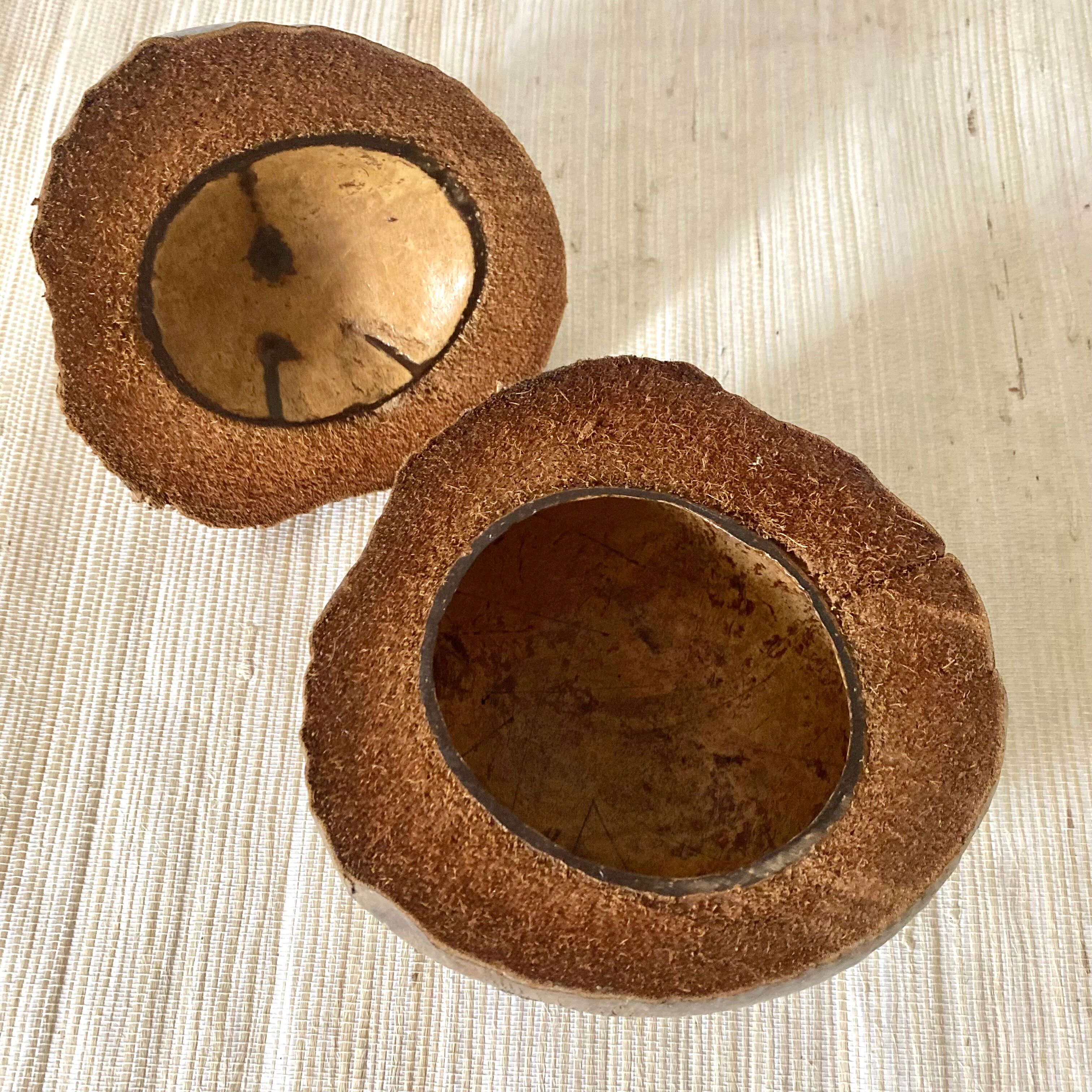 Coconut ice bucket