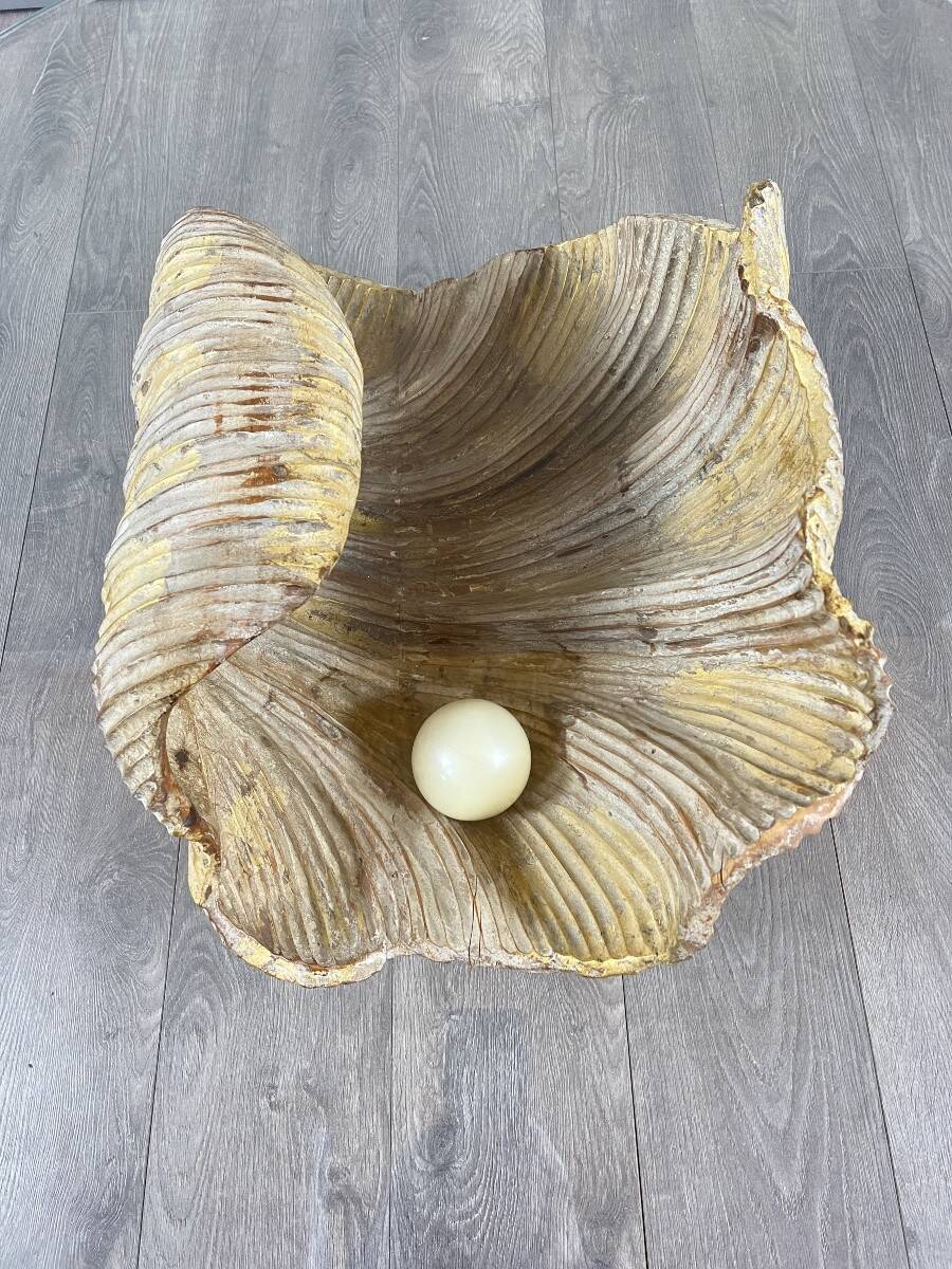 Shell-shaped coffee table in carved wood, 20th century