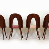 Dining Chairs by Antonin Suman, 1960s, Set of 4